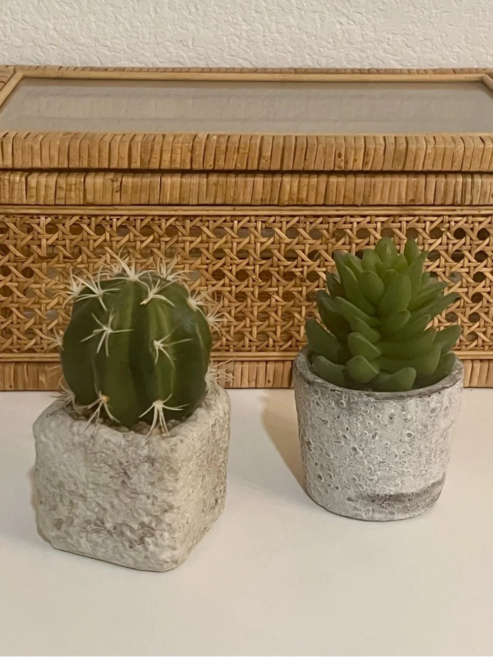 Mini Cactus & Succulent Concrete Planter Home Decor Bundle Set